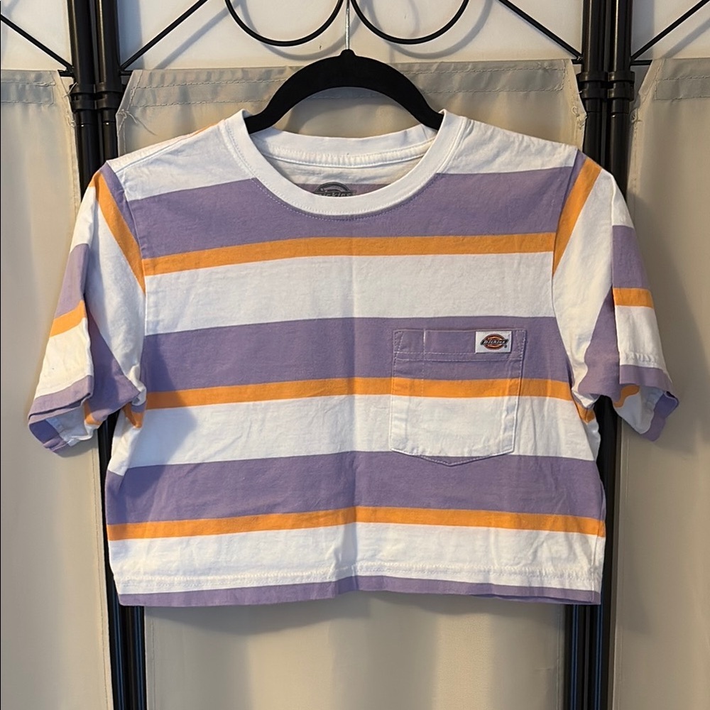 Dickies Purple and Orange Short Sleeve Tee with Retro Stripes